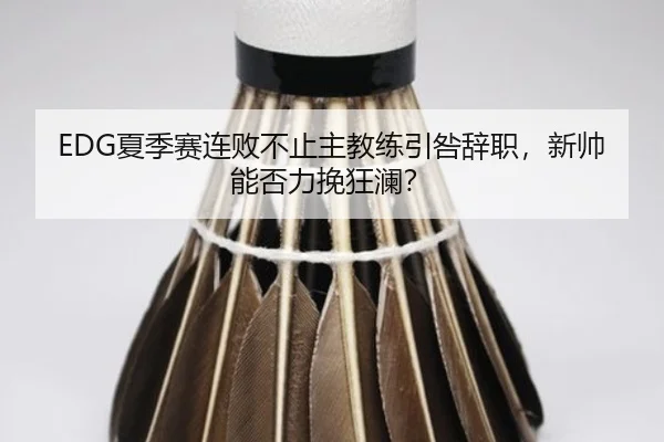 EDG夏季赛连败不止主教练引咎辞职，新帅能否力挽狂澜？